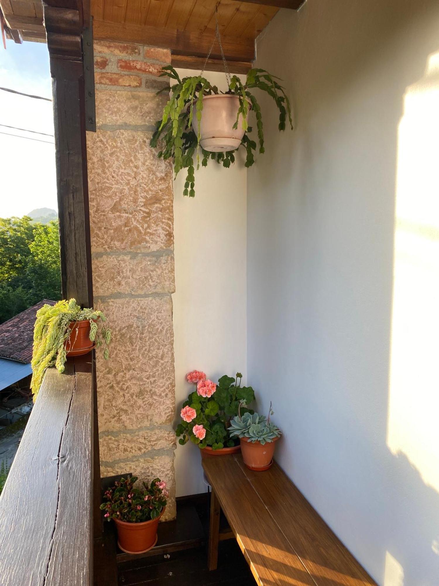 Apartamentos Rurales La Caviana Onís 외부 사진